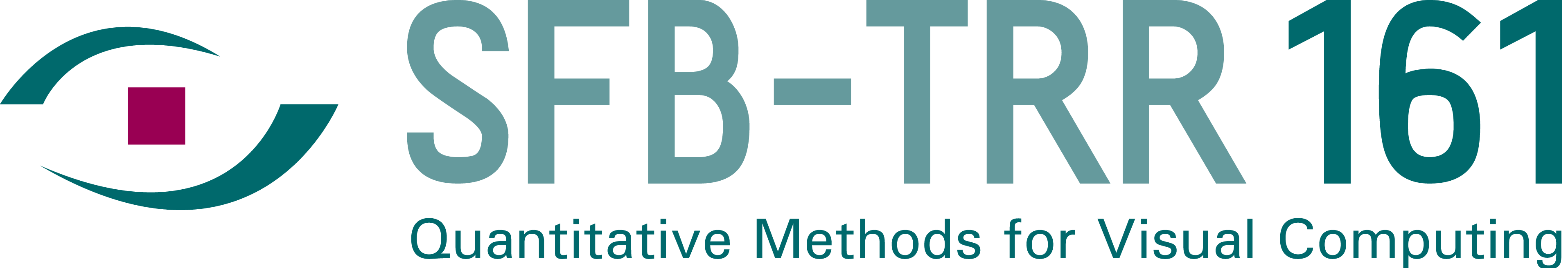 SFB-TRR 161 — Quantitative Methods for Visual Computing